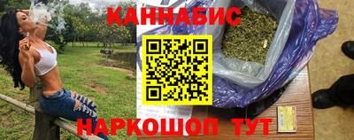 тгк Новозыбков