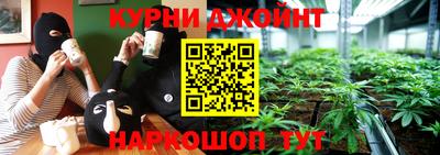 тгк Новозыбков