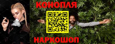 тгк Новозыбков