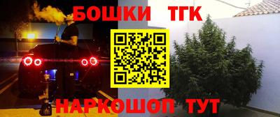 тгк Новозыбков