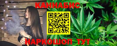 тгк Новозыбков