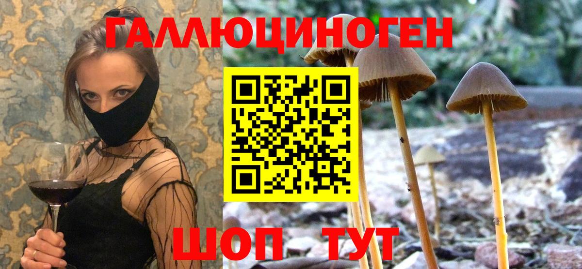 Галлюциногенные грибы Psilocybe  Псилоцибиновые грибы Psilocybe  Тверь  Вход с VPN 